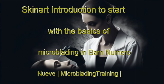 Skinart Introduction to start with the basics of microblading in Bam Numero Nueve | MicrobladingTraining | MicrobladingClasses | SkinartTraining-Mexico